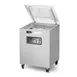 Eurodib CYCLONE201D48 – Vacuum Sealer, 20.5"W x 19.7"D Chamber, 48 m³/h Pump, 2500W, 220V, Stainless Steel 1 image