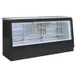 Infrico USA IDC-VC1400B Meat Curing Chamber, 17 cu ft, Black Painted, 304 Stainless Steel, 2 Rear Solid Doors 1 image