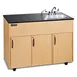 Ozark River Manufacturing ADAVM-LM-SS1DN Portable Hand Sink, Hot Water 1 image