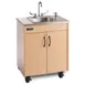 Ozark River Manufacturing CHSTM-SS-SS1N Portable Hand Sink, Hot Water 1 image