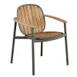 emuamericas E6041 Twins Stacking Armchair, Outdoor/Indoor, FSC Natural Teak Slats, Aluminum Frame 1 image