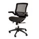 Flash Furniture BL-8801X-BK-GG Warfield Executive Swivel Chair, 300 lb, Mesh Back & Seat, Padded Arms, Black Nylon Base 1 image