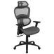 Flash Furniture H-LC-1388F-1K-GY-GG LO Office Chair, 18.5-22.5in Adjustable Height, 250 lb Capacity, Mesh Back & Seat, Gray 1 image
