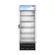Hoshizaki FM-23-HC - Silver 30" Glass Door Freezer, 20.7 cu ft, 5 Shelves, LED, R290, 78" H 1 image