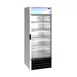 Hoshizaki FM-23-HC - Silver 30" Glass Door Freezer, 20.7 cu ft, 5 Shelves, LED, R290, 78" H 2 image