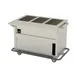 Duke EPW-3-CBPG 46" Thurmaduke™ Ganged Waterless Well Steamtable 1 image