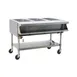 Eagle Group SPHT3-120 50" Portable Sealed Well Hot Food Table, (3) Pan Capacity 1 image
