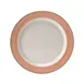 Steelite 15320214 - Round China Plate, 6.25" x 0.625" Rio Pink, Oven Safe to 530°F - 36/Case 1 image