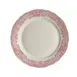 Steelite HL54863923 Round China Plate 10.625" Willow Rim Rose Dishwasher Oven Safe 500°F - 1 Dozen 1 image