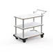 Steelite MGCRNX12CSXX Buffet Serving Cart, 41.5x21x36, Carrera White Marble Shelves, Stainless Steel Handle 1 image