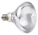 Hubert 43625 Heat Lamp Bulb 1 image