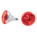Thunder Group SEJ92001R Heat Lamp Bulb 1 image