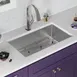 Elkay ECTRU30179RTFLC Single Bowl Undermount Sink Kit with Filtered Faucet, 32" x 19" / 18 Gauge 4 image