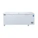 Dukers Appliance Co BD/BG-620 71" Solid Chest Freezer, 20.10 cu. ft. 1 image