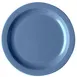 Cambro 10CWNR401 - Slate Blue 10" Polycarbonate Plate, Narrow Rim, NSF Certified, Made in USA 1 image