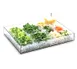 Cal-Mil 1399-12 Clear PETG Ice Housing, 16x24x4.25 In, Rectangular, BPA‑Free, 20‑29" Width, Non‑Lit 1 image