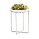 Cal-Mil 23791-10-49 Round Chrome Wire Display Riser, 8-Inch Dia., 10-Inch Height, 1-2 Step 1 image