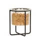 Cal-Mil 23810-8-12 Countertop Cereal Jar, 8.25" Dia x 5" H, Plastic, SS Base, Fits 23791 Frames 1 image