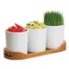 Cal-Mil 3647-32-99 Madera Cylinder Tray, 16"W x 5.5"D x 6"H, Oblong, Wood, Rustic Pine, 3 x 32 Oz Melamine Jars 1 image