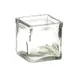 Cal-Mil C4X4GLCN Glass Storage Jar - 4" W x 4" D x 4" H, BPA-Free Clear Glass Ingredient Canister 1 image