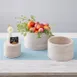 American Metalcraft MWRS9 Round Sun-Bleached Riser Bowl, 104 oz, Beige, Wood Base, 1-2 Step Hampton Collection 2 image