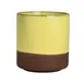 Steelite 6214RT006 - 8.5 Oz (3.5") Spice Saffron Stoneware Cup, Glaze, Oven Safe 425°F, 1 Dozen 1 image