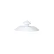 Steelite 82000AND0531L Coffee Pot Lid, 3.5" x 1.875" White Snipe Deco Edwards Bone China - 6/Case 1 image
