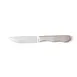Steelite WL880527 Steak Knife, 10-1/8" O.L., 5-1/4" Steel Blade, Frost‑Finish Jumbo Handle - 1 Dozen 1 image