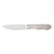 Steelite WL880527R - 5" Stainless Steel Steak Knife, 10" Length, Frost‑Finish Jumbo Handle - 1 Dozen 1 image
