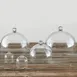 American Metalcraft LFTD4 Dome Cover Cloche, 4-1/8" Diameter Round Clear Polycarbonate Plastic 2 image