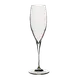 Steelite 4935Q282 Champagne Flute Wine Glass, 8 Oz, 3.0" x 9.625" Crystal Clear Stem - 1 Dozen 1 image