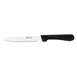 Browne USA 574329 Steak Knife, 4" Blade, 8-9" OAL, Stamped 18/0 Stainless Steel Polypropylene Handle 1 image