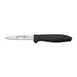 Dexter 36000 Paring Knife - 3½" Spear Point Stamped, DEXSTEEL Steel Blade, Black Polypropylene Handle 1 image