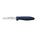 Dexter 36000C Paring Knife – 3½" Spear Point, DEXSTEEL Blade, Blue Polypropylene Handle, NSF 1 image