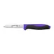 Dexter 36000P Paring Knife – 3½" Spear Point, Carbon DEXSTEEL Steel Blade, Purple Plastic Handle 1 image