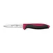 Dexter 36000R Paring Knife – 3½" Spear Point, DEXSTEEL Steel Blade, Red Handle, NSF 1 image