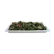 TableCraft CW1240LG - 4-1/4 qt. Lime Green Grill Pan, 21" x 12-7/8", 1-1/2" deep, Cold Holding 1 image