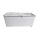Excellence BD-19 71" Solid Chest Freezer, 19.1 cu. ft. 1 image