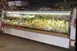 Howard-McCray SC-CDS34E-8-LED 101" Flat Refrigerated Deli Display Case 3 image