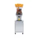 Citrus America CITROCASA FANTASTIC F/SB-ATS Electric Juicer 2 image
