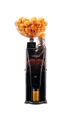 Citrus America CITROCASA REVOLUTION Electric Juicer 2 image