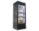 Imbera USA G319 Merchandiser Refrigerator, 78-7/8"H x 29-1/2"W x 27-7/8"D, 19.2 ft³, 1/3 HP Compressor 1 image