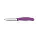 Victorinox 6.7635.C1 Paring Knife – 3-1/4" Spear Point Blade, Purple Plastic Handle, Stainless Steel 1 image