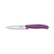 Victorinox 6.7705.C1 Paring Knife, 4" Spear Point Blade, Stamped Purple Plastic Handle, Stainless 1 image