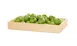 Cal-Mil 23106-12203-93 Logan Tray – 12" x 20" x 3" Wood Tray in Beige – Bakery Display 1 image
