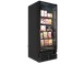 Imbera USA LTF23 BB LOCKING Merchandiser Freezer, 79"H, 16 ft³ Capacity, Black, 1 HP Compressor 1 image