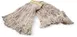 Carlisle 369411B00 Wet Mop Head - Small 1" Wide Yellow Band, 4‑Ply Cotton/Synthetic, Looped End 1 image