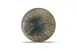 F2D 5314582 Halo Coupe Plate, 7.875" Round Porcelain Plate with Coupe Rim in Halo Forest Finish 1 image
