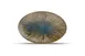 F2D 5315550 Halo China Platter, 6.7" x 10" Porcelain, Dishwasher Microwave Oven Safe - 1/Each 2 image