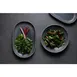 ID Fine 5315966 China Plate - 8.2" Round Coupe Rim Fine China, Dishwasher Safe, White Finish 2 image